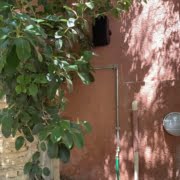 Outdoor and Indoor Speakers