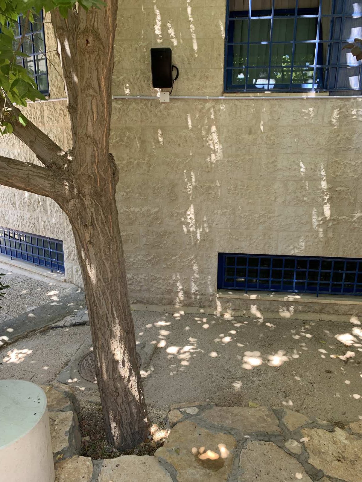 Outdoor and Indoor Speakers