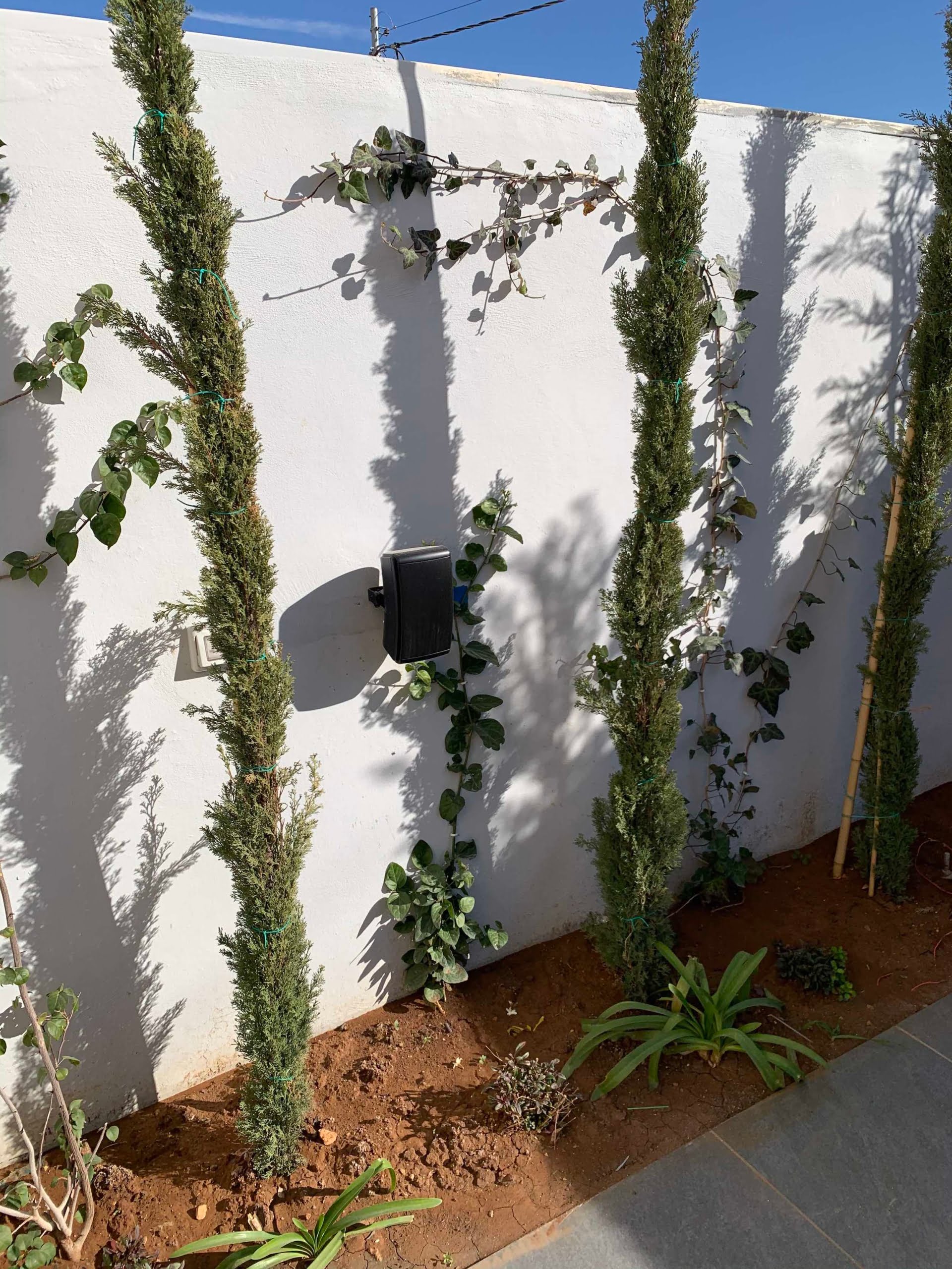 Al Saad Apartment